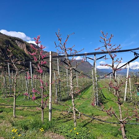 Versigglhof Appiano Sulla Strada Del Vino Εξωτερικό φωτογραφία