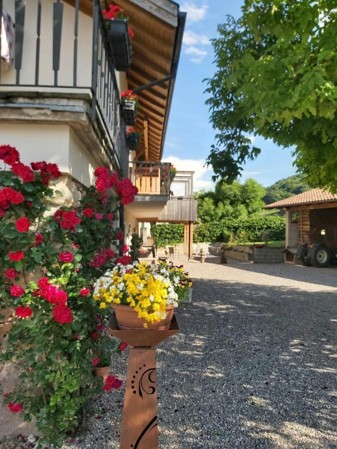 Versigglhof Appiano Sulla Strada Del Vino Εξωτερικό φωτογραφία