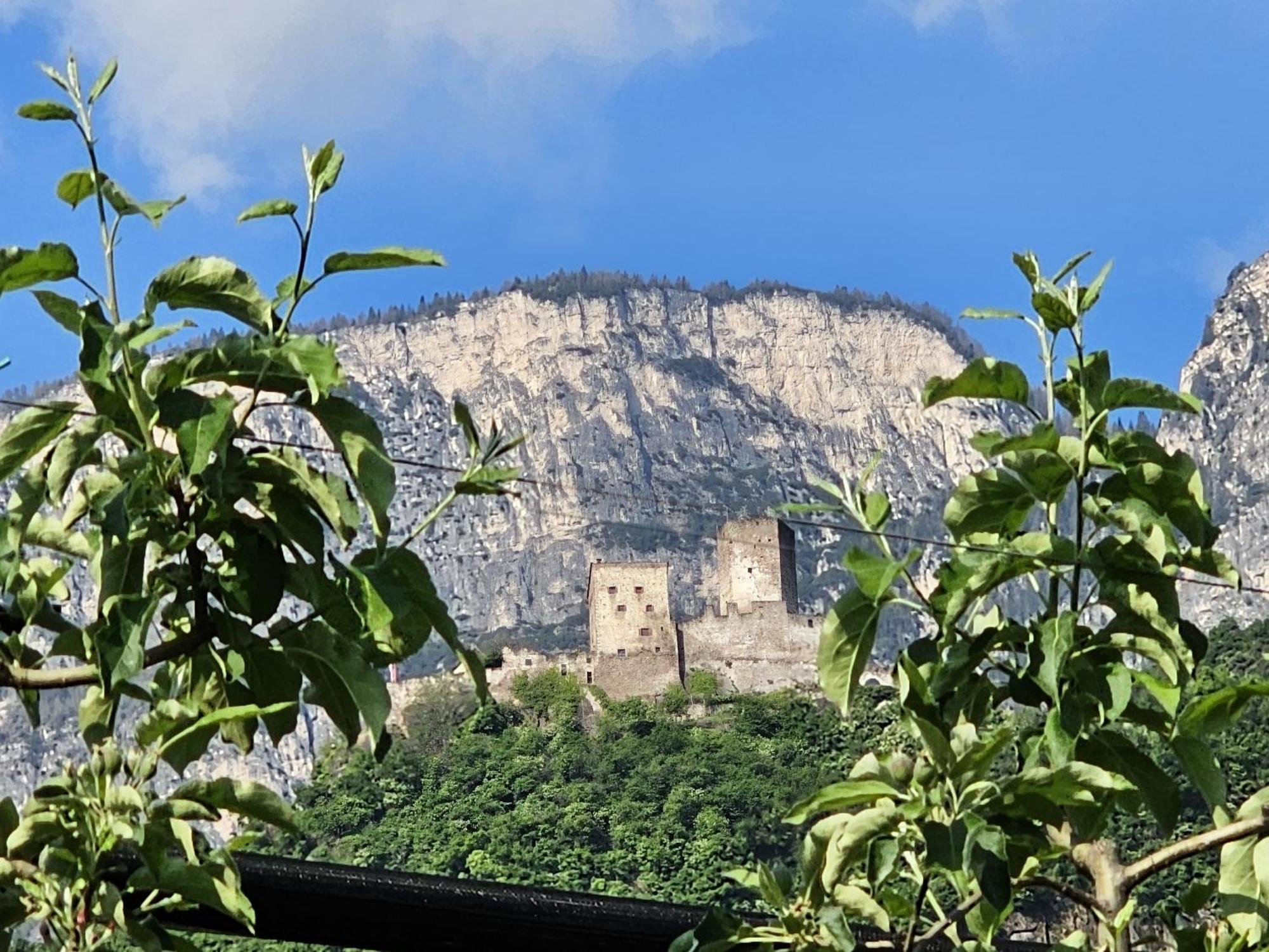 Versigglhof Appiano Sulla Strada Del Vino Εξωτερικό φωτογραφία